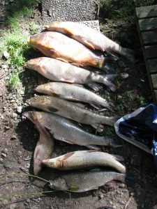 2009-08-16_barbenfischen_010 2009-08-16_barbenfischen_010