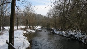2011-01-30_gluehweinparty_020