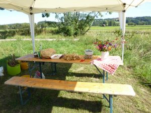 2015-09-12_bachmuscheltag_024 2015-09-12_bachmuscheltag_024
