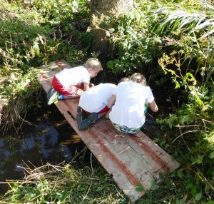 2015-09-12_bachmuscheltag_121 2015-09-12_bachmuscheltag_121