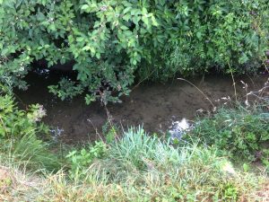 IMG-20180807-WA0020